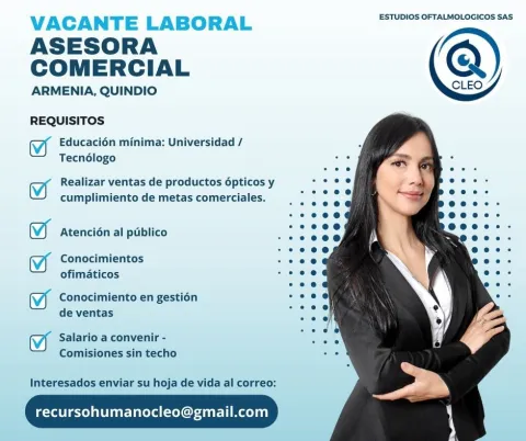 asesora comercial