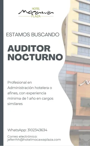 auditor