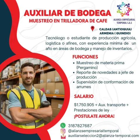 auxiliar bodega