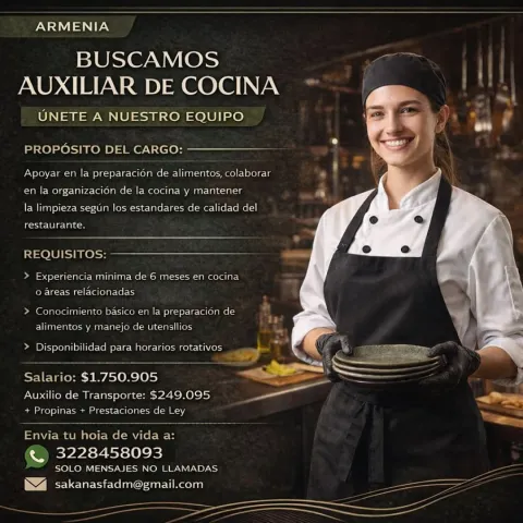 auxiliar cocina