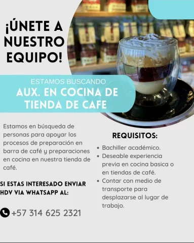 auxiliar cocina