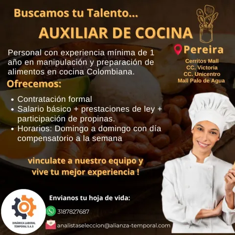 auxiliar cocina