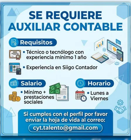 auxiliar contable