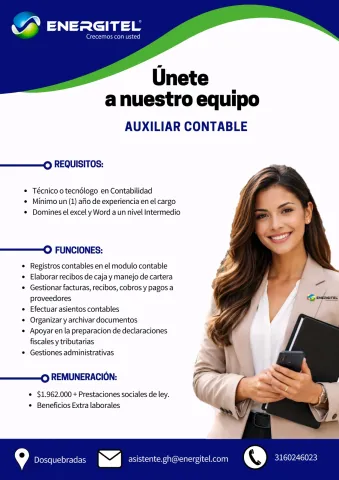 auxiliar contable