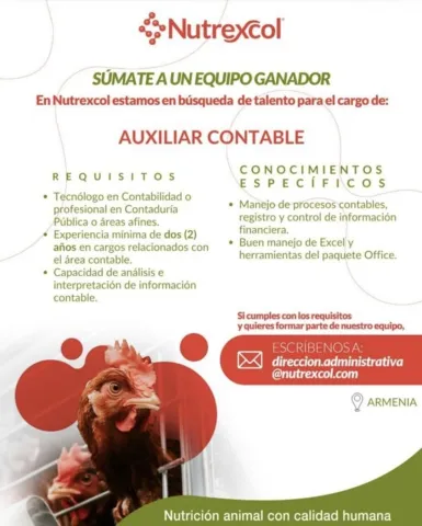 auxiliar contable