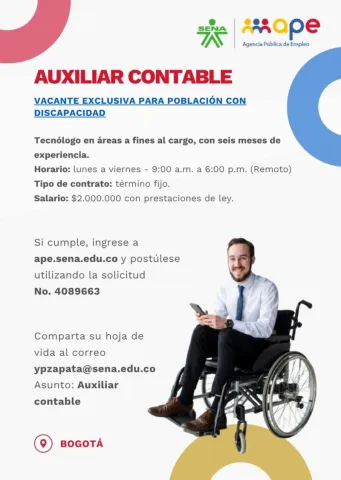 auxiliar contable