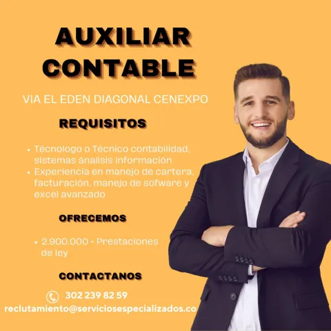 auxiliar contable