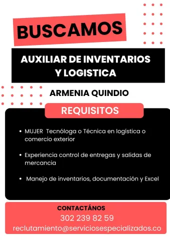 auxiliar inventarios