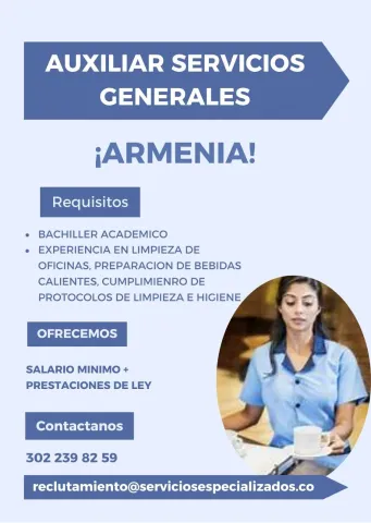 auxiliar servicios