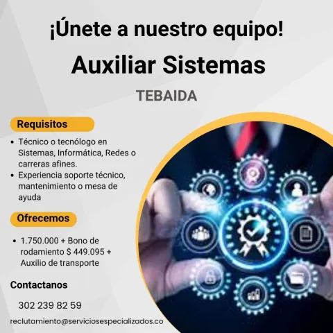 auxiliar sistemas
