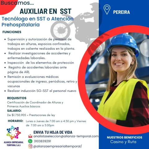 auxiliar en sst