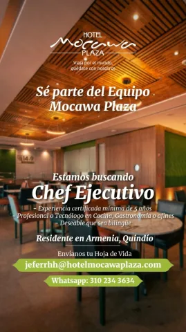 chef ejecutivo