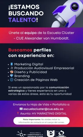 consultores cluster