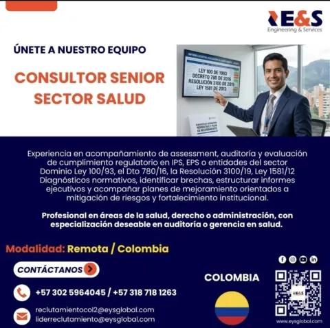 consultor senior