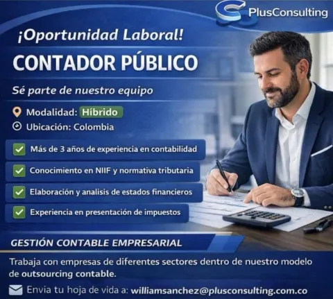 contador público