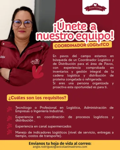 coordinador logistico