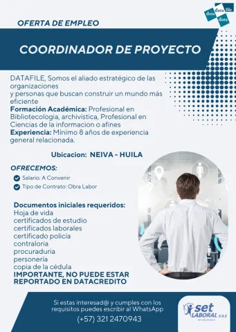 coordinador de proyecto