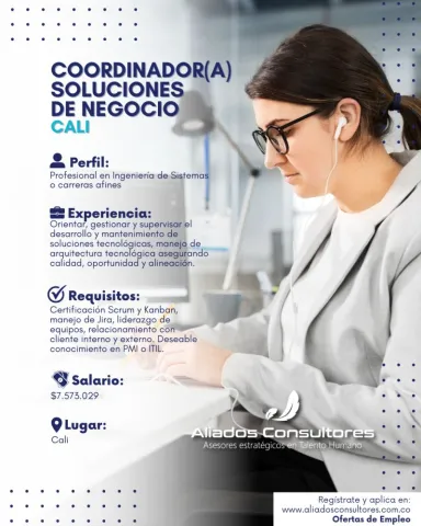 coordinador soluciones