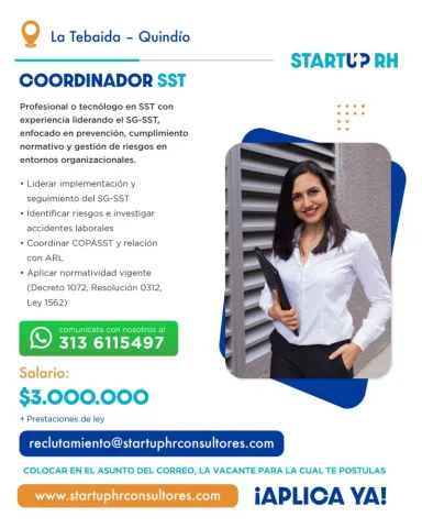 coordinador sst