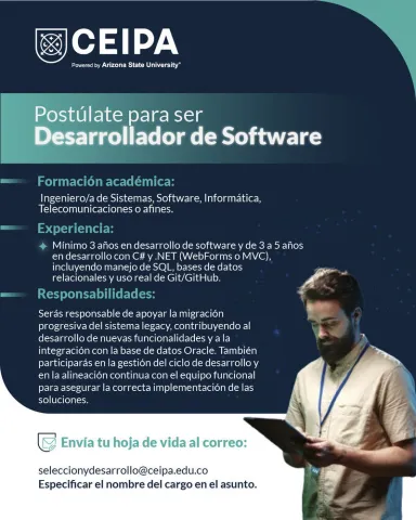 desarrollador software