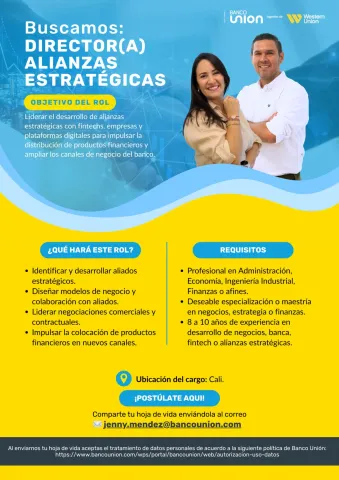 director de alianzas estratégicas