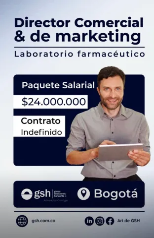 director comercial y de marketing