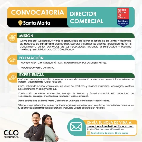 director comercial