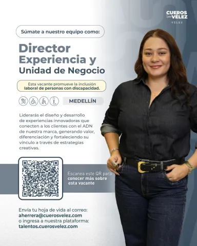 director experiencia