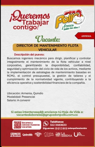 director mantenimiento flota