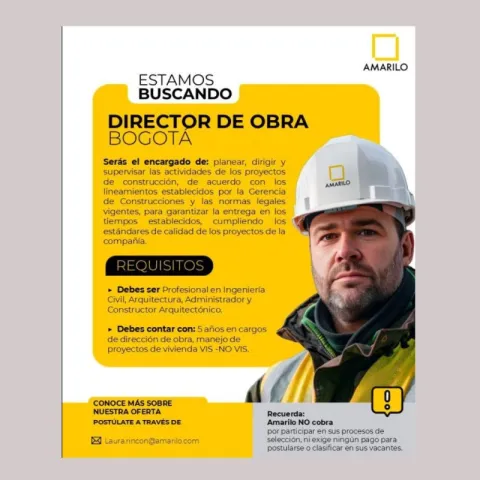 director de obra