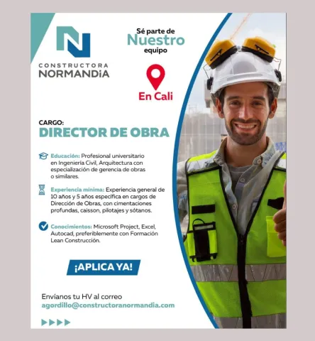 director de obra