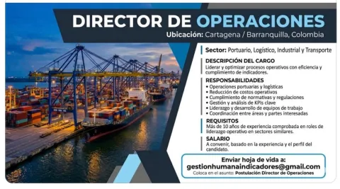 director operaciones
