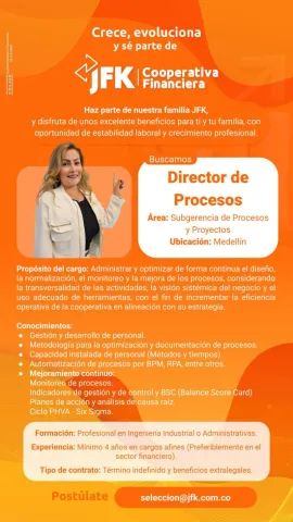 director procesos