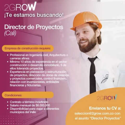 director proyectos
