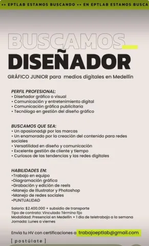 diseñador