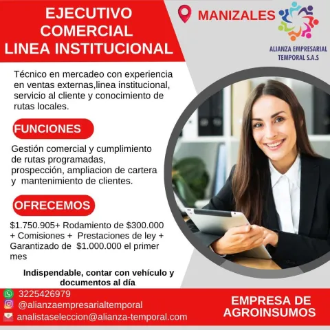 ejecutivo comercial
