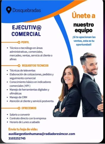 ejecutivo comercial