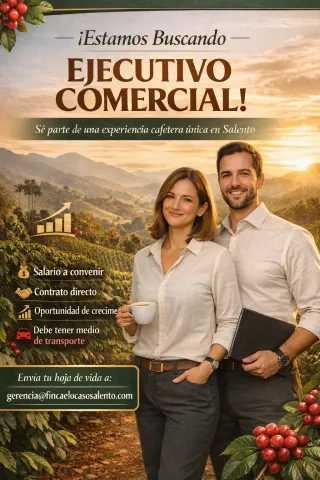 ejecutivo comercial