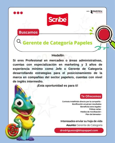 gerente categoría medellin