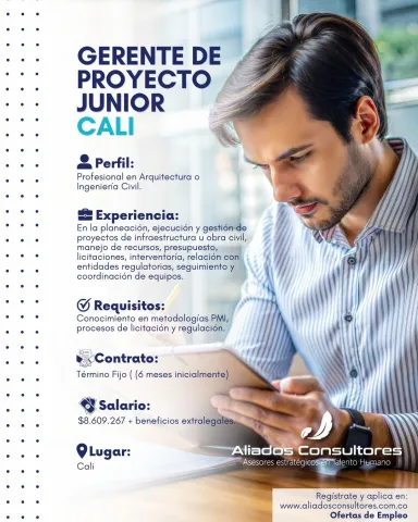 gerente proyecto