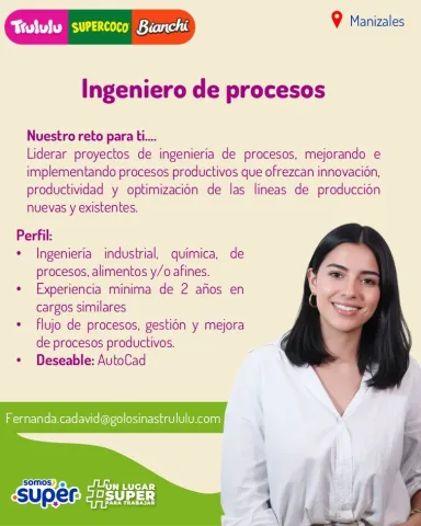ingeniero procesos