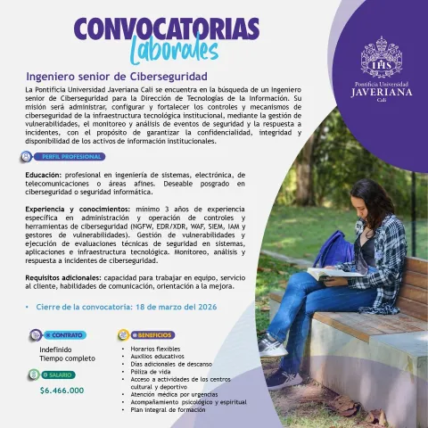 ingeniero ciberseguridad