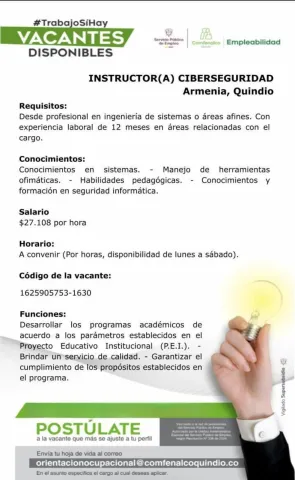 instructor ciberseguridad