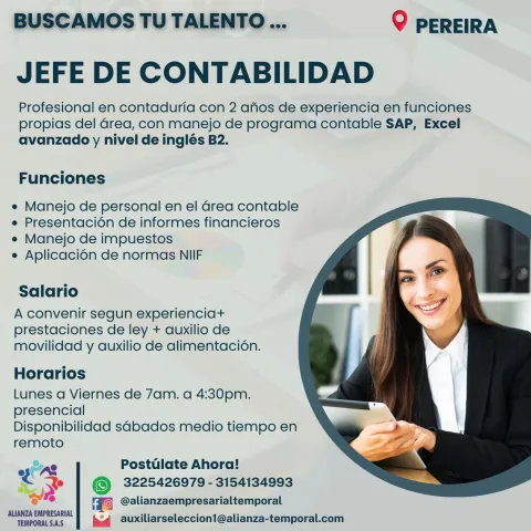 jefe contabilidad