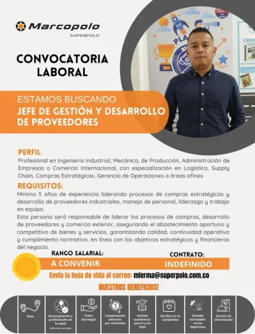 jefe gestión desarrollo