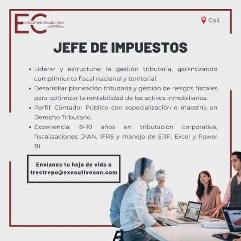 jefe de impuestos