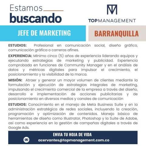 jefe de marketing