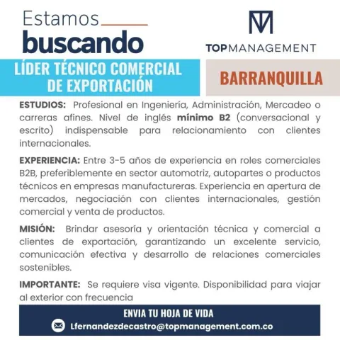 líder técnico comercial