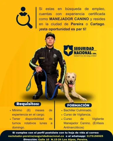 manejador canino