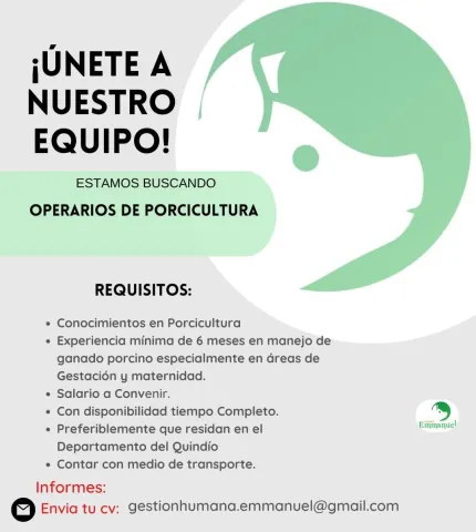 operarios porcicultura